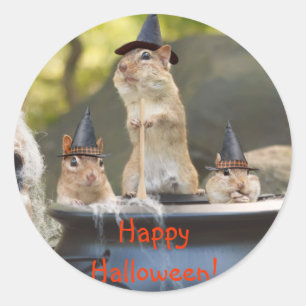 Witchy Chipmunks Stickers