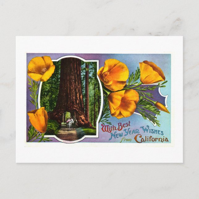 With Best New Year Wishes from California Holiday Postcard (Front)