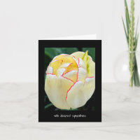 With deepest sympathies - Red tipped Yellow tulip 