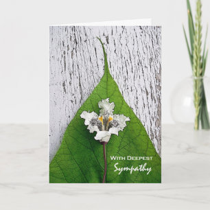 With Deepest Sympathy Catalpa Blossom and Leaf Card