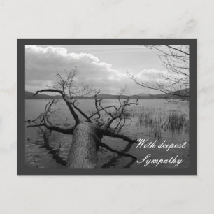 With deepest Sympathy Postcard