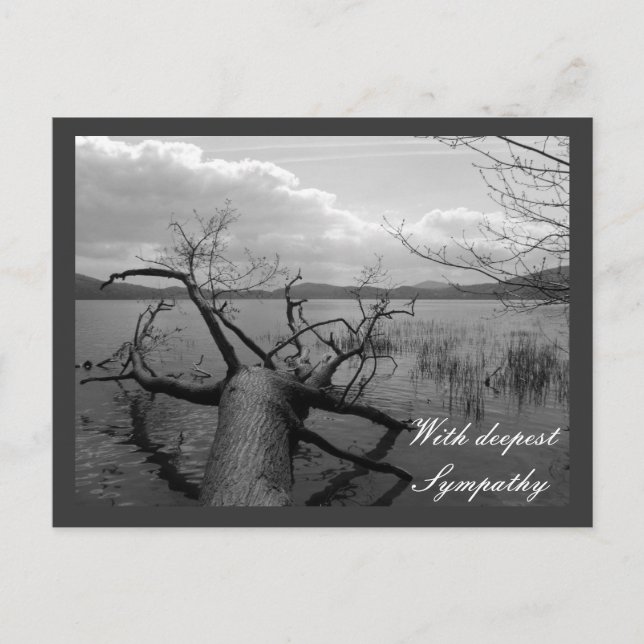 With deepest Sympathy Postcard (Front)