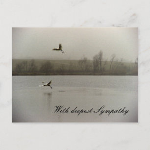 With deepest Sympathy Postcard