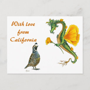 With  love from California - postcard