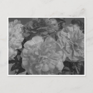 "...With love from me, to you..." Postcard