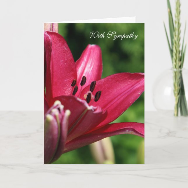 With Sympathy Card (Front)