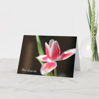 with sympathy card