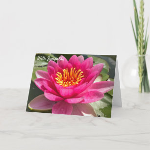 With Sympathy - Floral Water Lily Holiday Card