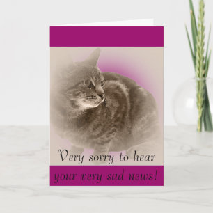 With Sympathy (loss of a cat) Card