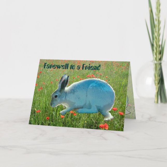 With Sympathy (loss of a rabbit) Card (Front)