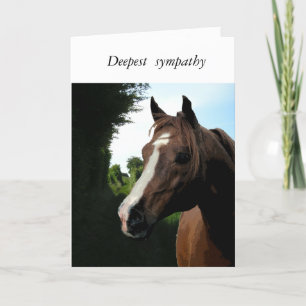 With Sympathy (loss of horse) Card