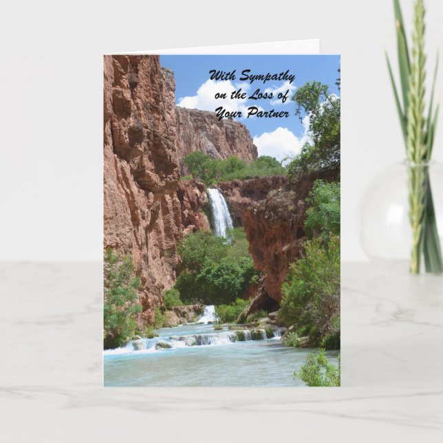 With Sympathy Loss of Partner Waterfall Cliff Note Card (Front)