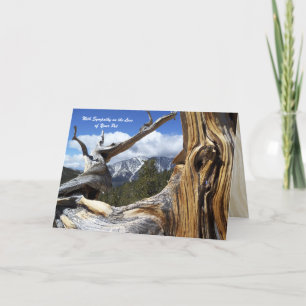 With Sympathy Loss of Pet Mountain Thru Tree Card