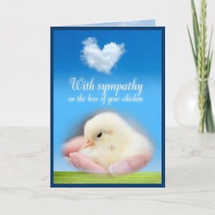With sympathy on the loss of your chicken card