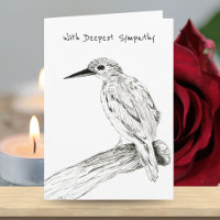 With Sympathy Oriental Dwarf Kingfisher Drawing