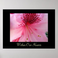 Within Our Hearts art prints Pink Rhododendron