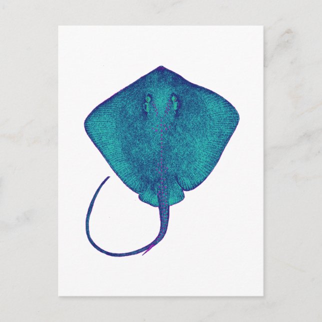 WITHIN THE BLUE POSTCARD (Front)