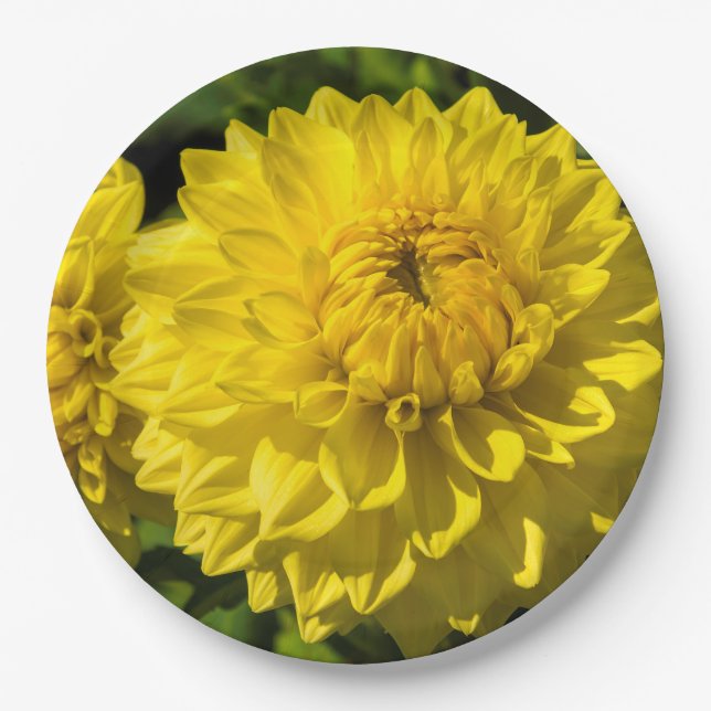 Within The Dahlia Garden 3 Paper Plate (Front)