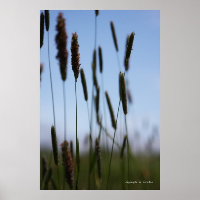 Within the Hay Poster (Front)