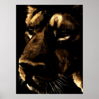 Within the Shadows Poster