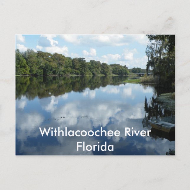 Withlacoochee River Postcard (Front)