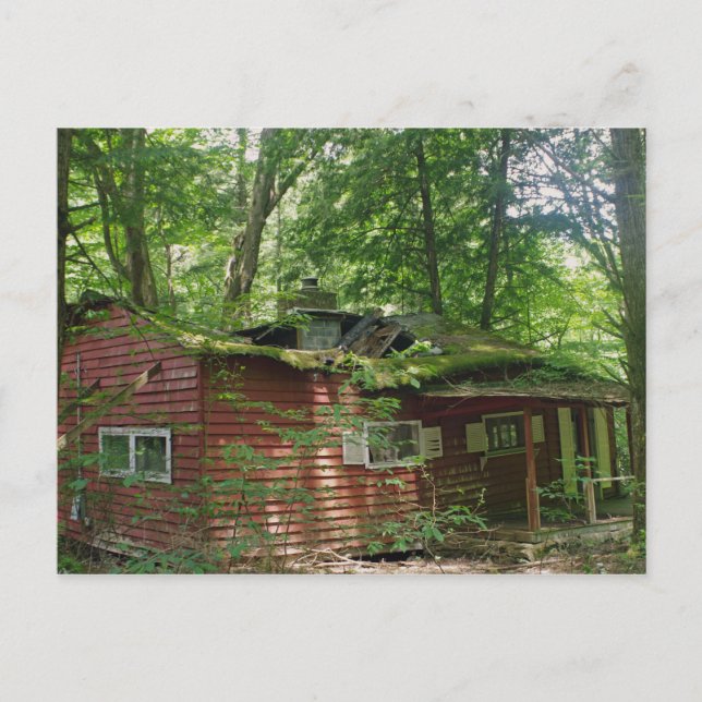 Without a Roof Postcard (Front)