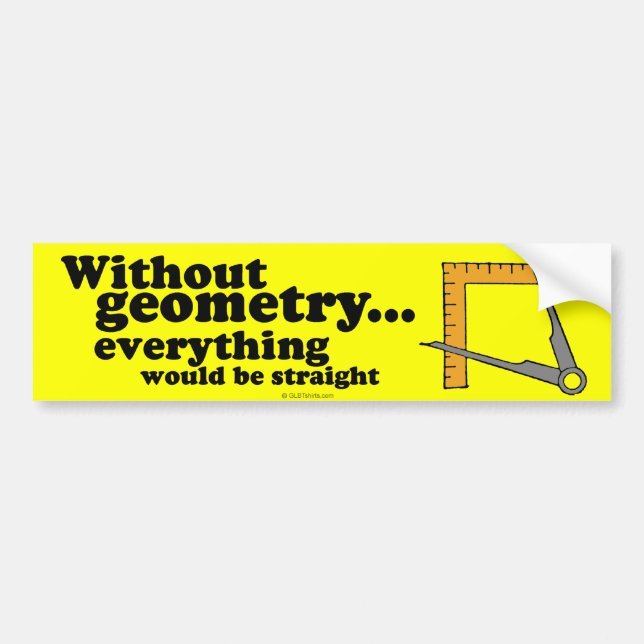 WITHOUT GEOMETRY EVERYTHING WOULD BE STRAIGHT -.pn Bumper Sticker (Front)