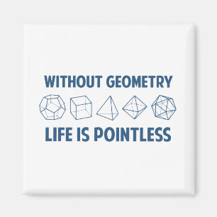Without Geometry Life Is Pointless Magnet