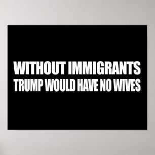 Without Immigrants Trump would have no wives - - . Poster