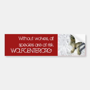 Without Wolves Bumper Sticker