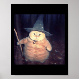 Wizard Cat Halloween Cat Meme _1  Poster