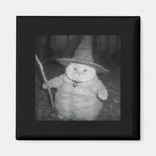 Wizard Cat Weird Funny Halloween Cat Meme Magnet