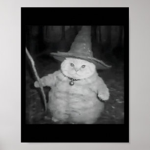 Wizard Cat Weird Funny Halloween Cat Meme  Poster