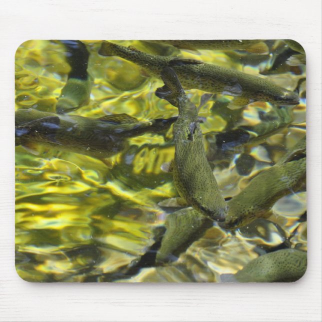 Wizard Falls Fish Hatchery Mouse Mat (Front)