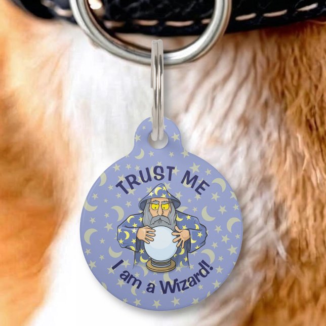 Wizard with Ball Pet Tag (Creator Uploaded)