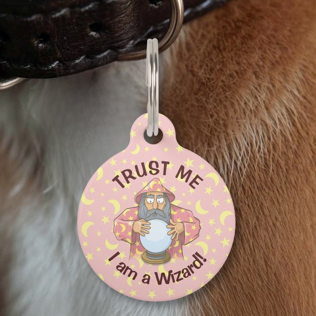 Wizard with Ball Pet Tag (Creator Uploaded)