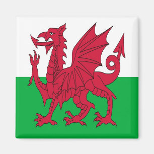 WLS001 FLAG welsh WALES, Fridge Magnet