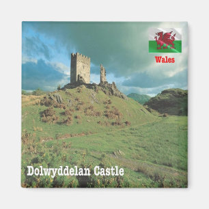 WLS015 DOLWYDDELAN CASTLE, Wales, Europe, Fridge Magnet