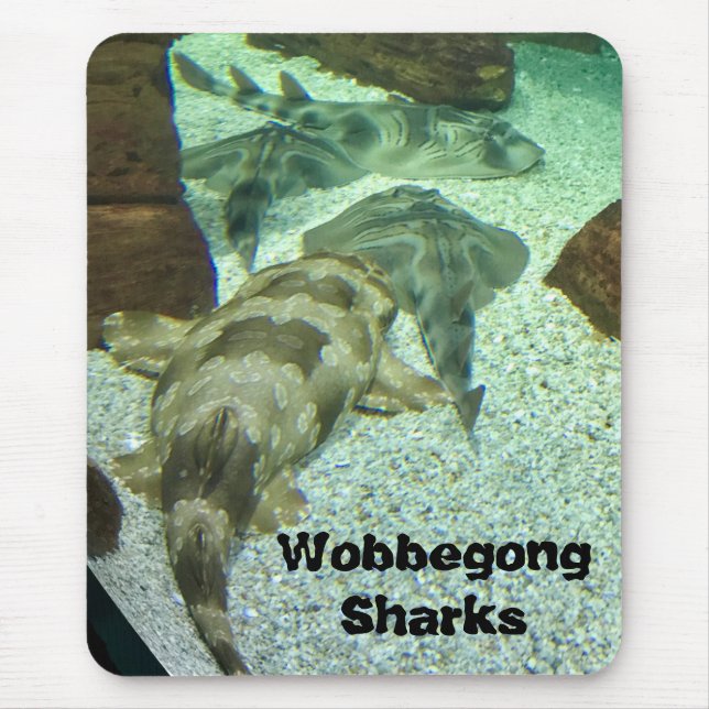 Wobbegong Sharks Mouse Mat (Front)