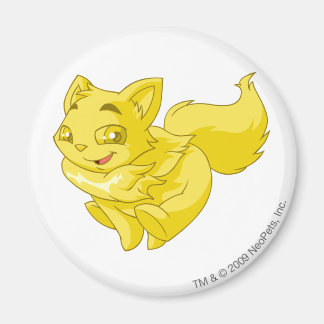 Wocky Gold Magnet