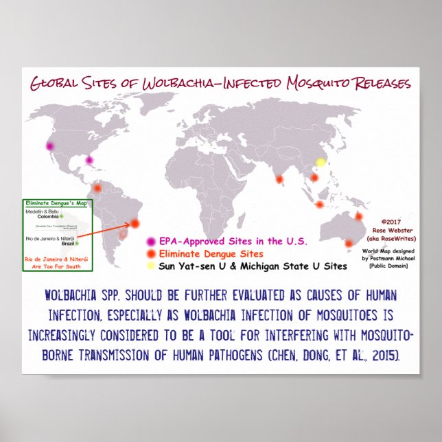 Wolbachia and Human Infection by RoseWrites Poster (Front)