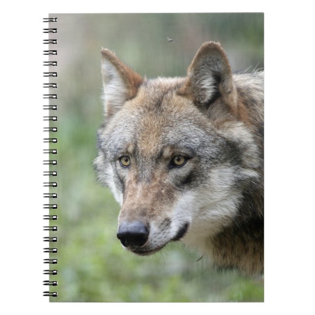 Wolf 001 notebook (Front)