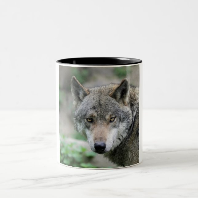 Wolf_011 Two-Tone Coffee Mug (Center)