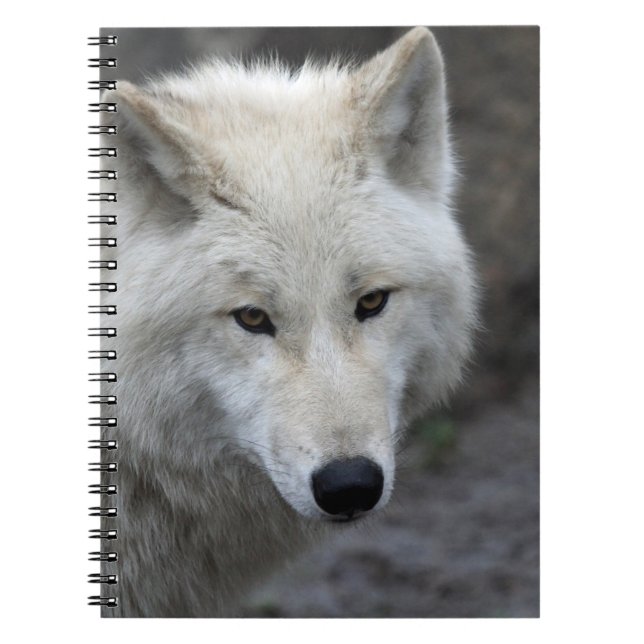 Wolf 015 notebook (Front)