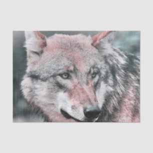 wolf 1115 tissue paper