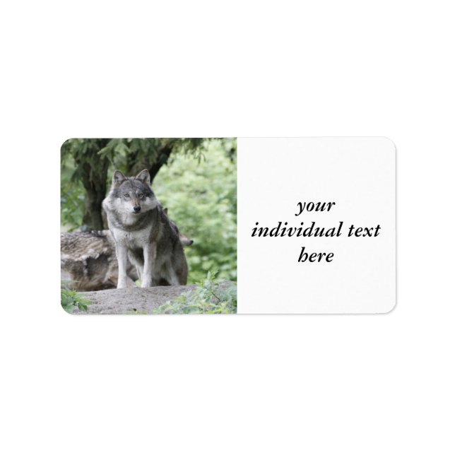 Wolf 14AJ Label (Front)