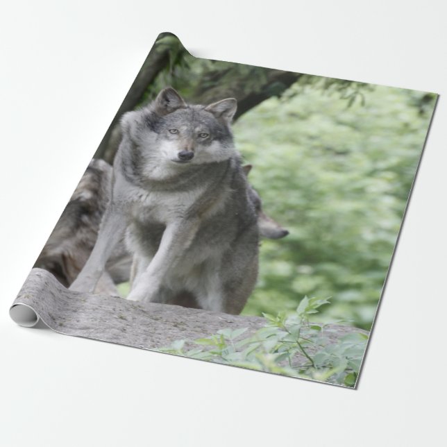 Wolf 14AJ Wrapping Paper (Unrolled)