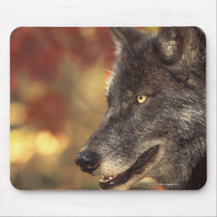 Wolf 2 mouse mat