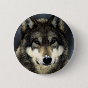 Wolf 6 Cm Round Badge