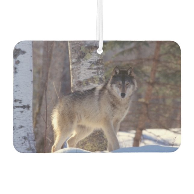 Wolf Air Freshner Car Air Freshener (Front)